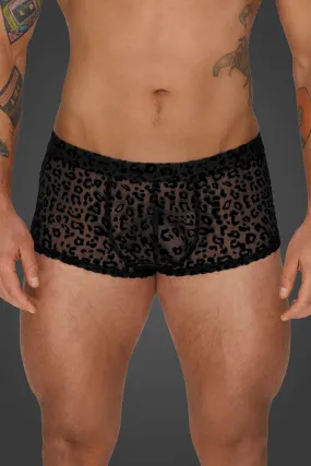 Noir Handmade Leopard Flock Shorts